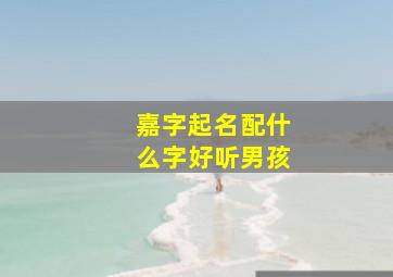 嘉字起名配什么字好听男孩