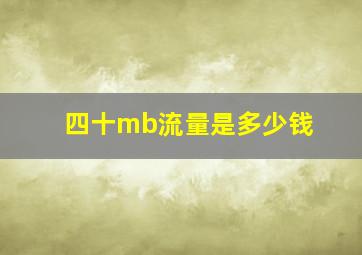 四十mb流量是多少钱