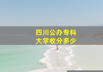 四川公办专科大学收分多少