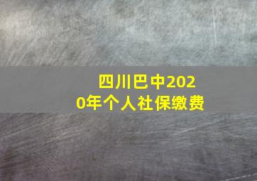 四川巴中2020年个人社保缴费