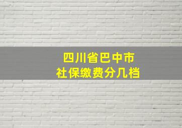 四川省巴中市社保缴费分几档