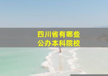 四川省有哪些公办本科院校