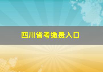 四川省考缴费入口