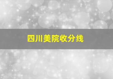 四川美院收分线