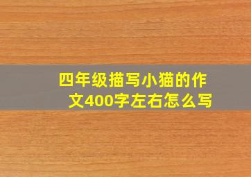 四年级描写小猫的作文400字左右怎么写