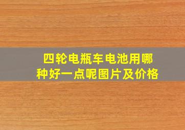 四轮电瓶车电池用哪种好一点呢图片及价格