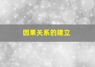 因果关系的建立