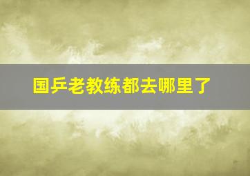 国乒老教练都去哪里了