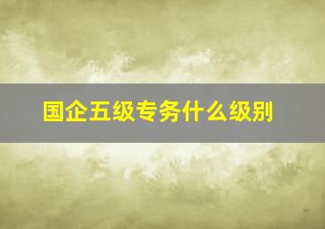 国企五级专务什么级别