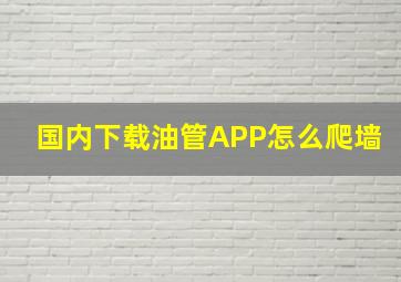 国内下载油管APP怎么爬墙