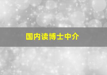 国内读博士中介