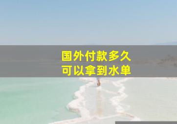 国外付款多久可以拿到水单