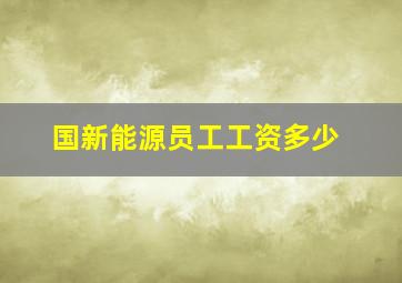 国新能源员工工资多少