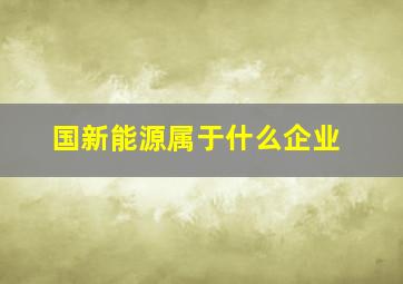 国新能源属于什么企业