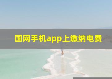 国网手机app上缴纳电费