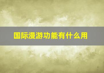 国际漫游功能有什么用