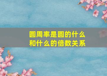 圆周率是圆的什么和什么的倍数关系