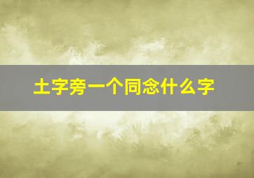 土字旁一个同念什么字