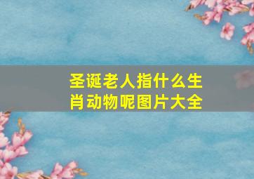 圣诞老人指什么生肖动物呢图片大全