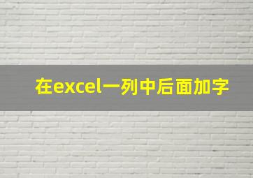 在excel一列中后面加字