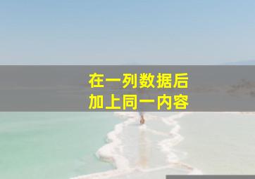 在一列数据后加上同一内容