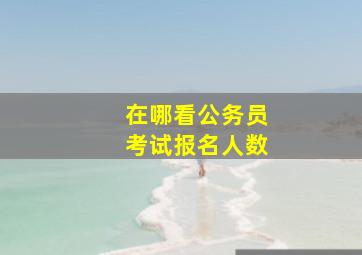 在哪看公务员考试报名人数