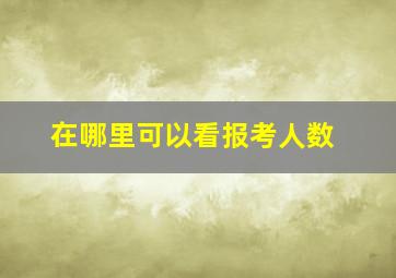 在哪里可以看报考人数