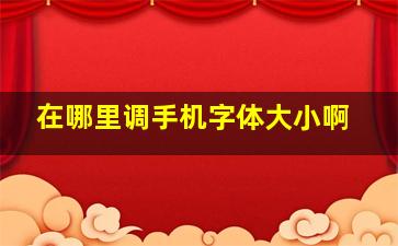 在哪里调手机字体大小啊