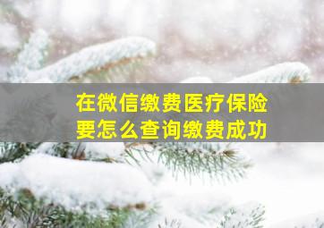 在微信缴费医疗保险要怎么查询缴费成功