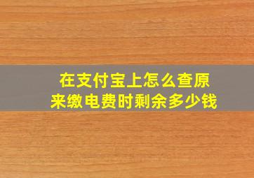 在支付宝上怎么查原来缴电费时剩余多少钱