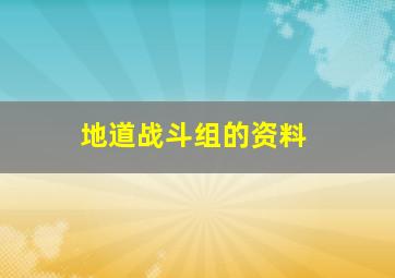 地道战斗组的资料