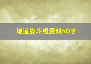 地道战斗组资料50字