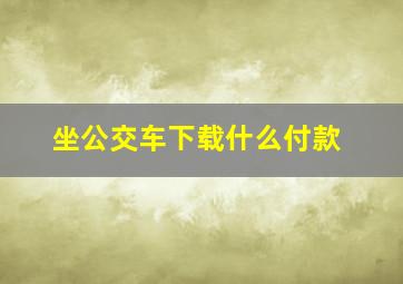 坐公交车下载什么付款