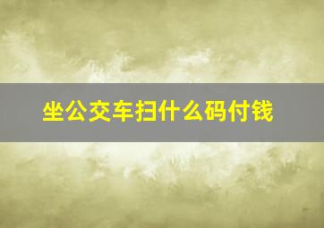 坐公交车扫什么码付钱