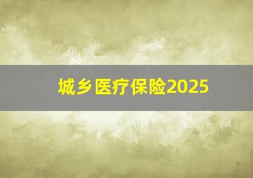 城乡医疗保险2025