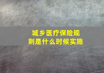 城乡医疗保险规则是什么时候实施