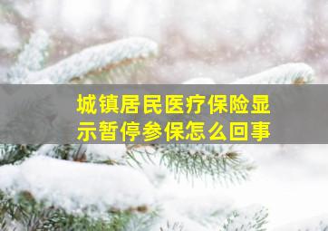 城镇居民医疗保险显示暂停参保怎么回事