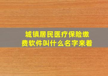 城镇居民医疗保险缴费软件叫什么名字来着