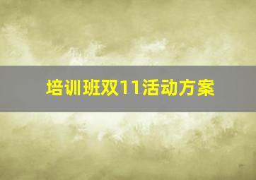 培训班双11活动方案