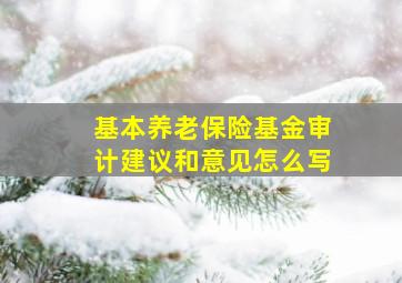 基本养老保险基金审计建议和意见怎么写