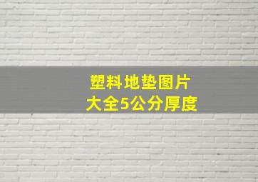 塑料地垫图片大全5公分厚度