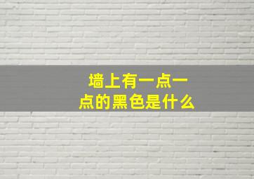 墙上有一点一点的黑色是什么