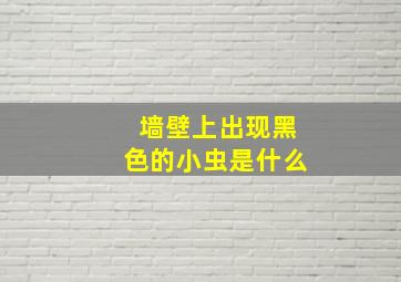 墙壁上出现黑色的小虫是什么