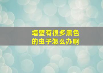 墙壁有很多黑色的虫子怎么办啊