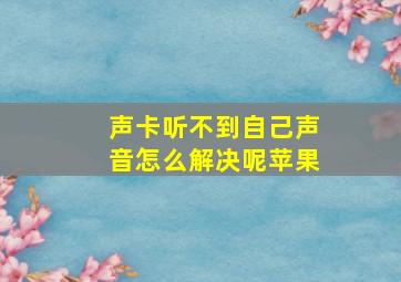 声卡听不到自己声音怎么解决呢苹果