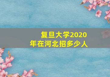 复旦大学2020年在河北招多少人