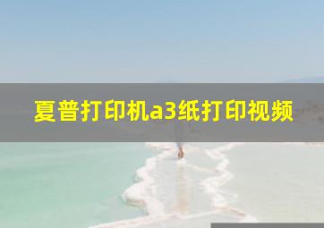 夏普打印机a3纸打印视频