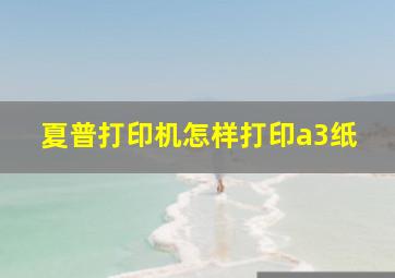 夏普打印机怎样打印a3纸