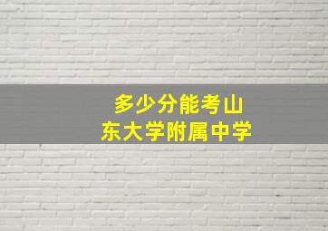 多少分能考山东大学附属中学