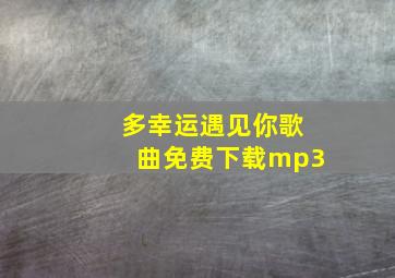 多幸运遇见你歌曲免费下载mp3